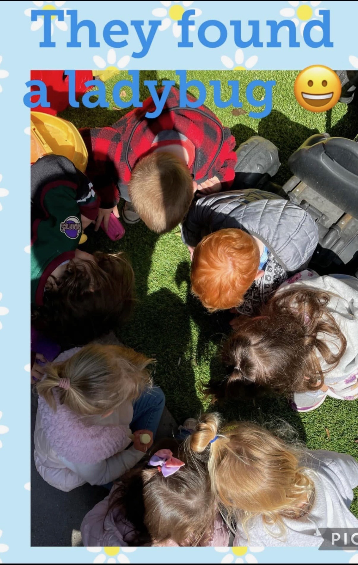 Group of children gathered outside looking at a ladybug they found